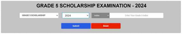 How to check 2024 Scholarship exam results Grade 05 exam results easy way